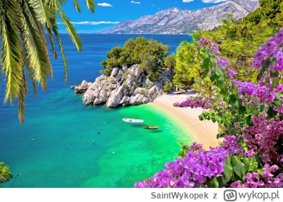 SaintWykopek - Dalmacja( #Chorwacja) pięknie wygląda(filmy Makłowicza), ale patrząc n...