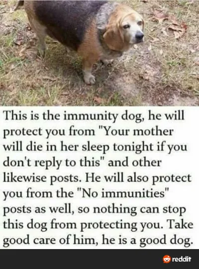 talmudyczny_triumfalizm - @kwmd xD