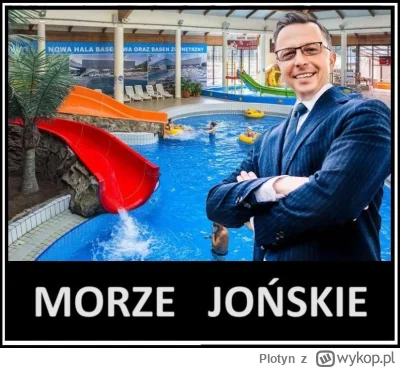 Plotyn - #polityka #sejm