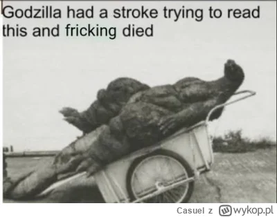 Casuel - @text: 

Nigdy nie zorzumiesz, że twoje podejście (zabawia i manipulacje dan...