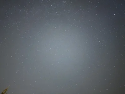 Mefiaczek - @ramotka