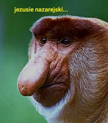 lepaq - sobie sam stworzyłem se
#najbardziejchujowymemznosaczem