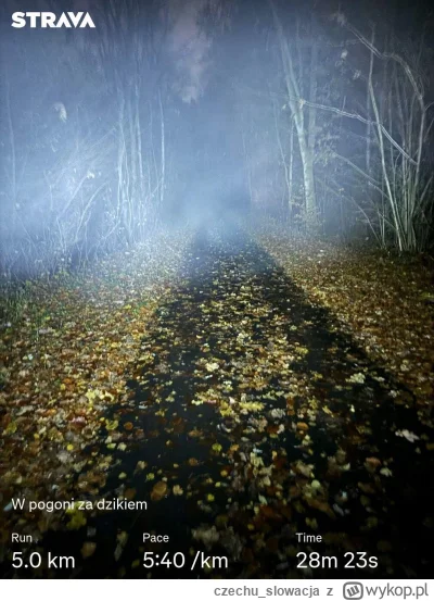 czechu_slowacja - 59 616,69 - 5,00 = 59 611,69

Znalazłem sposób na utrzymanie tempa ...