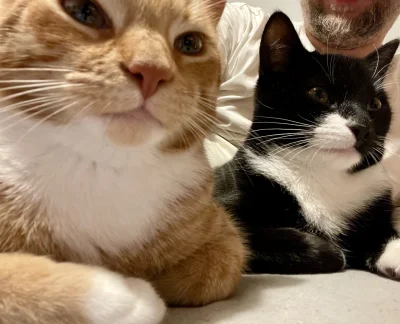 AMBIWALENTNYPSIUR - Moje dwa antydepresanty #pokazkota