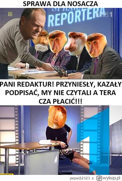 pepsi22323 - #tusk #po #ko