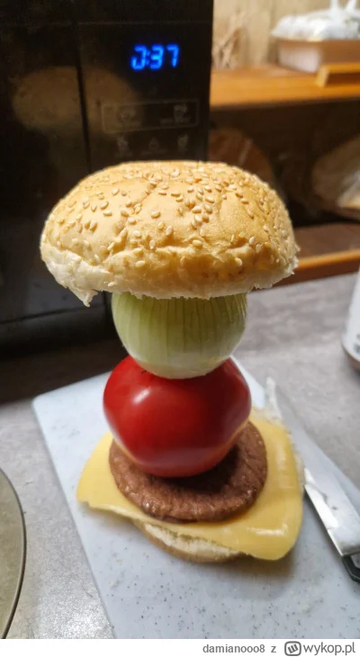 damianooo8 - #gotujzwykopem #fastfood

xD