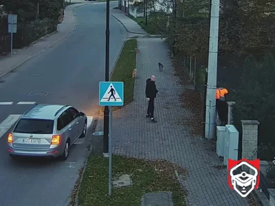 schabowy01 - O krok od kolejnej tragedii. Psy zaatakowaly chlopca ktory musial salwow...