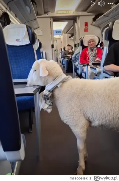 mrsopelek - Ludziom w tym kraju już na łeb grzeje i robią z pociągu jakąś pieprzoną A...