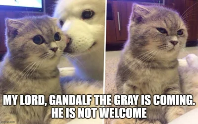 djtartini1 - @rancorn: