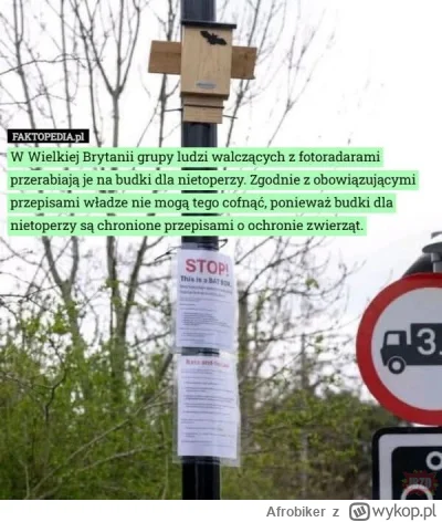 Afrobiker - #heheszki #motoryzacja