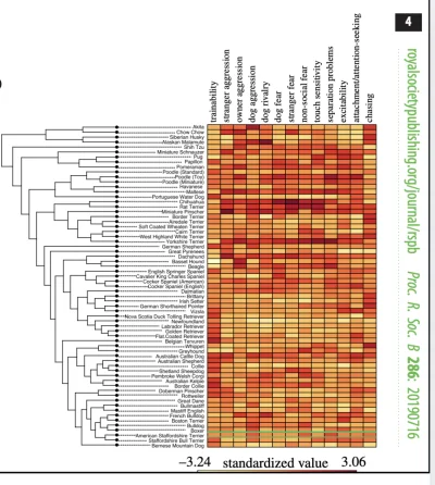 KRCZVSK - @LamajHarma: