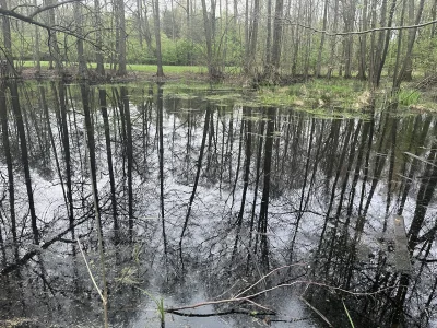 affairz - Czy ten zbiornik wody, a raczej dwa znajdujące się w górę nurtu nad #domnar...