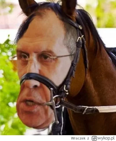 Wraczek - @Ukrofilek: