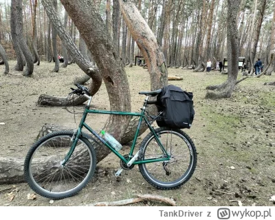 TankDriver - 47 065 + 43 + 77 = 47 185

Dwie wycieczki wzdłuż Odry.

#rowerowyrownik
...