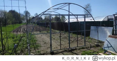 KORNI_K - @powsinogaszszlaja: