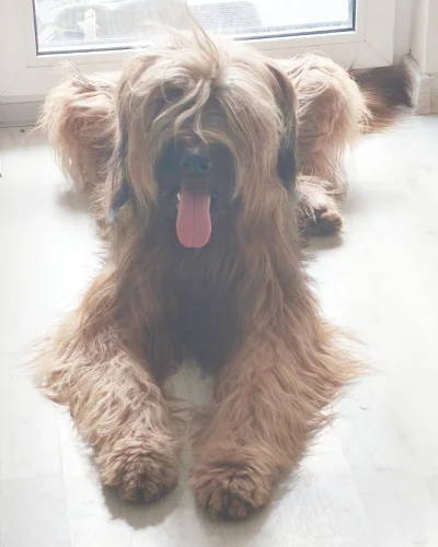 gorzki99 - @Notakaprawda: A tu juz planuje kolejne zbrodnie :D