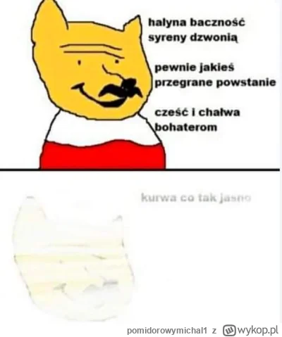 pomidorowymichal1 - #memy #heheszki #humorobrazkowy #polska #wojna #ukraina #rosja