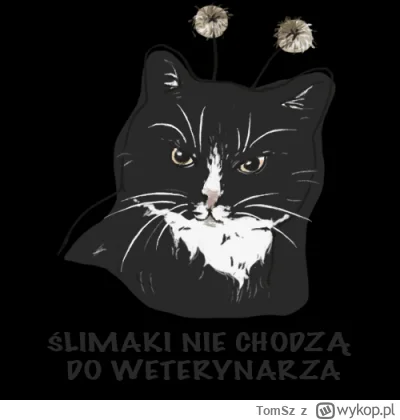 TomSz - @Timer_555: kiedyś zleciłem grafikowi zrobienie jako prezent urodzinowy dla ż...