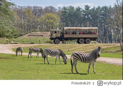 Poludnik20 - @Poludnik20: to samo źródło