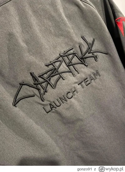 gonzo91 - Nothing to see here ( ͡° ͜ʖ ͡°) #tesla #gielda