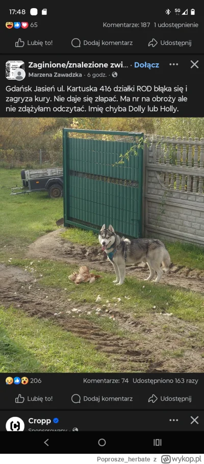 Poprosze_herbate - #psiarze  no fajnie, fajnie