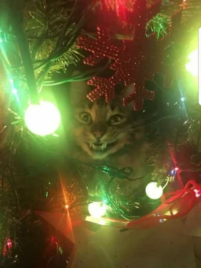 Czerwonyalimenciarz - @Chilli_Heatwave: He he