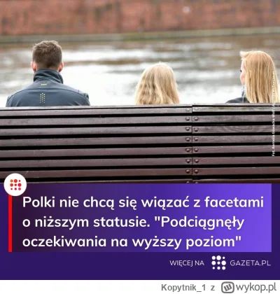 Kopytnik1 - @suwerensudoku: Ale dla Polaka, p0lka ma wymagania....