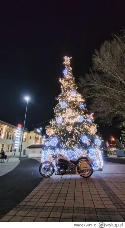wacek901 - @Chasnik2000 ja nawet sobie jebnąłem foteczke pod choinką