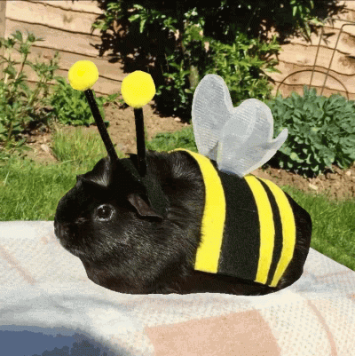 dywergent - wstalem i nic dzisiaj nie zrobilem, znowu jest to samo ze nie jestem w st...