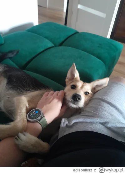 adisoniusz - @Ha1rless