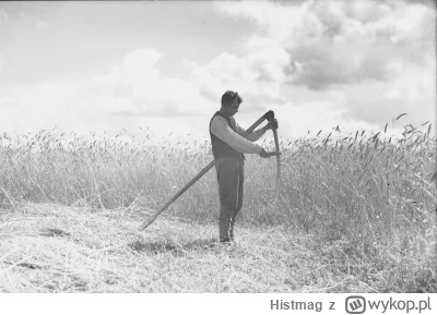 Histmag - Znalezisko - Polski rolnik w II Rzeczypospolitej. Jakie zmiany proponowano?...