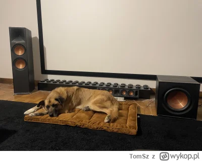 TomSz - Dzień 8 ze staruszkiem ze schroniska - przyszła poducha do domu i GPS.

Niest...