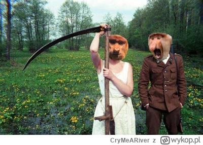 CryMeARiver - #konkursnanajbardziejgownianymemznosaczem 
Brzezina, dramat, 1970 rok.