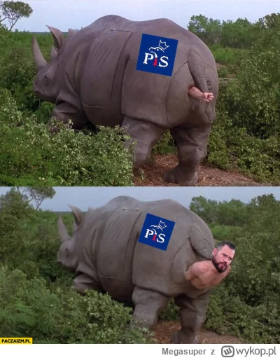 Megasuper - Pulsować aby nie zapomnieć po której stronie jest Stanowski #debata #wybo...