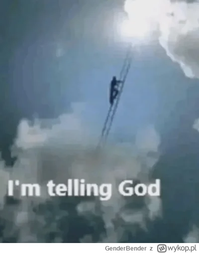 GenderBender - @konstanty400: