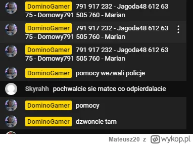 Mateusz20 - #dominogamer