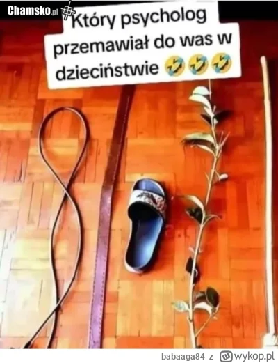 babaaga84 - https://chamsko.pl/demot/01130506Rozneszkolypsychoterapiiprzez_ugrydul.jp...