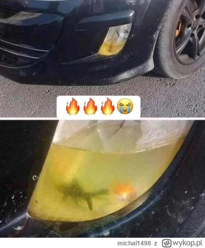 michal1498 - #heheszki #humorobrazkowy