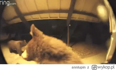 annlupin - chyba śpiom jeszcze