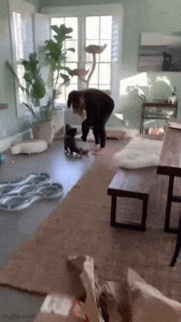 wfyokyga - Borja pażałsta