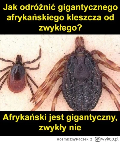 K.....k - #humorobrazkowy #heheszki