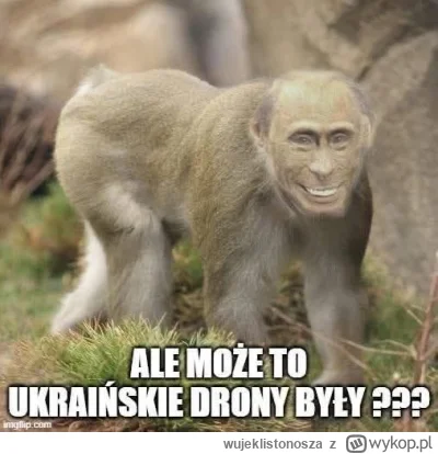 wujeklistonosza - #ukraina #rosja #drony #wojna #putin #onuce