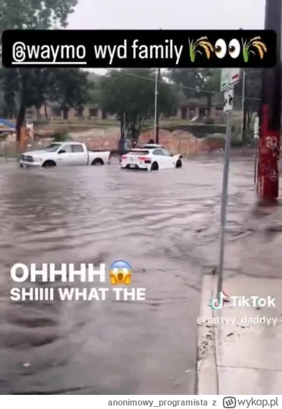 anonimowy_programista - Za mało LIDARów.
#waymo #tesla #technologia #motoryzacja