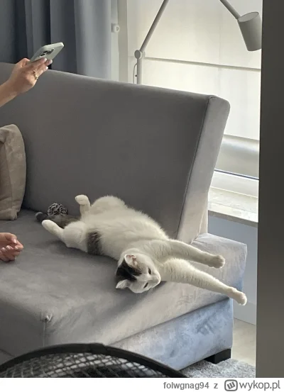 folwgnag94 - Ten to ma pozycję do spania 

#pokazkota #kitku