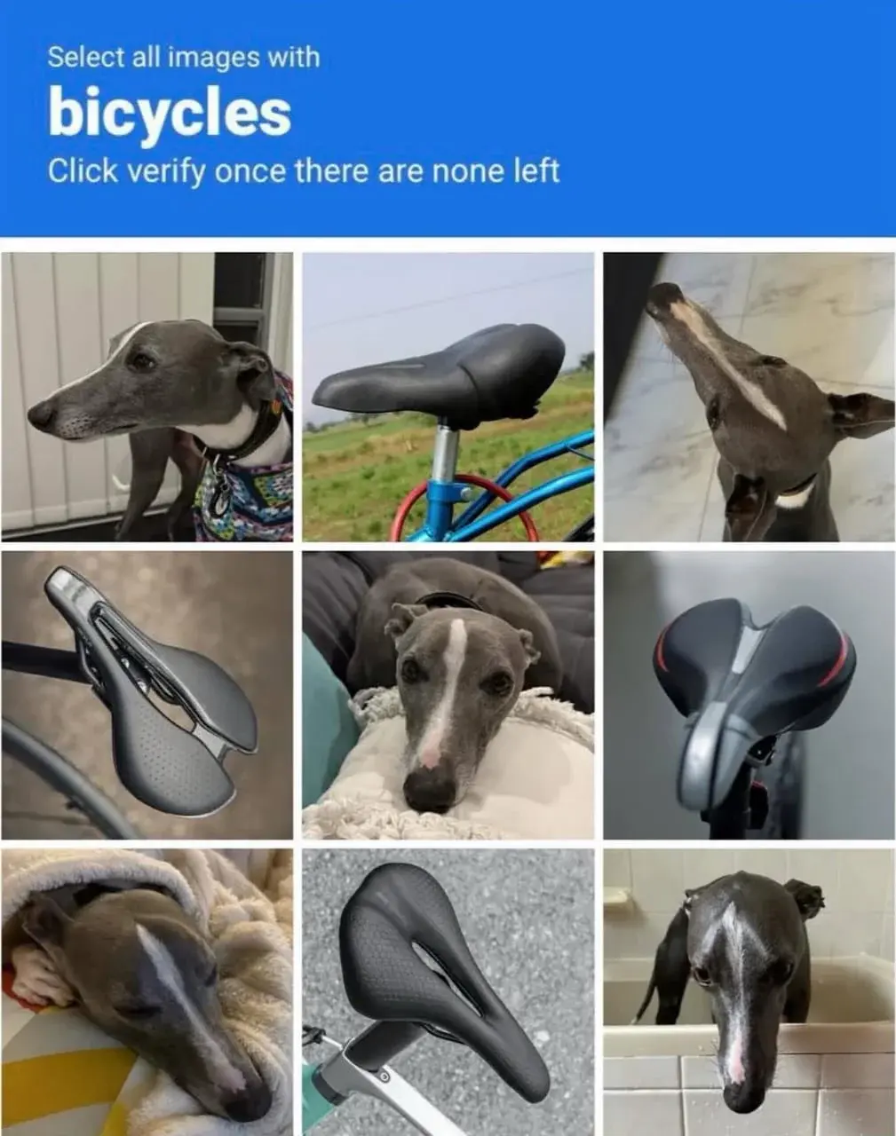 wfyokyga - Trudne się wylosowało