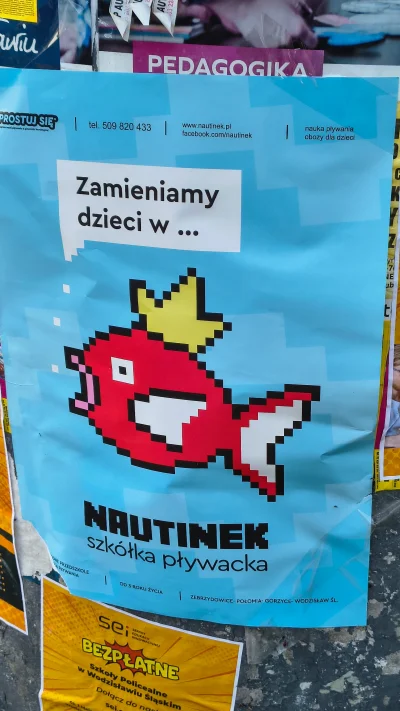 Haszaks - Kto chce zamienić dziecko w magikarpia?
#pokemon #heheszki