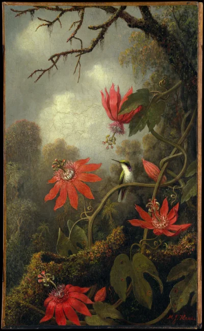 Loskamilos1 - Btaszek i kwiatki, obraz ów stworzył Martin Johnson Heade w roku 1885. ...