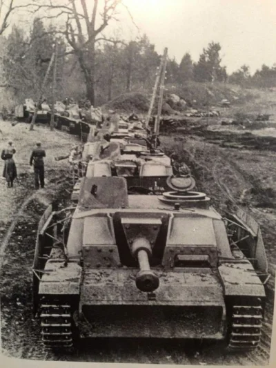 zielonykszak - stado stugów (｡◕‿‿◕｡)