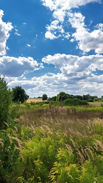 Arvin - #spierdotrip #przegryw