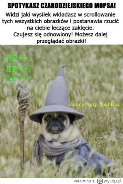 PetalMind - @wfyokyga: trzeba go uleczyć